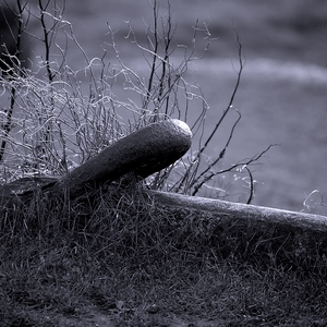 Avant d'une ancre de bateau dns les herbes - France  - collection de photos clin d'oeil, catégorie clindoeil